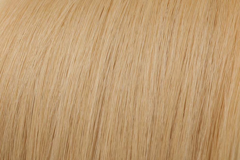 Seamless Clip-In Extension: Light Golden Blonde #22